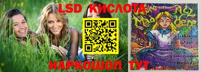 гашик Берёзовский