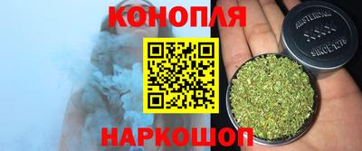 гашик Берёзовский