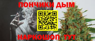 сатива Бийск