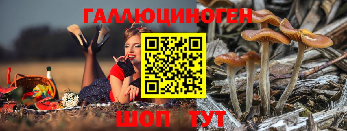Псилоцибиновые грибы мицелий Вышний Волочёк