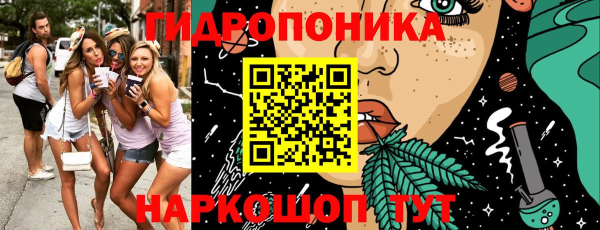 Бошки Шишки OG Kush  Бошки Шишки конопля  Вход с VPN  Вышний Волочёк  Каннабис THC 21% 